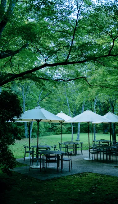 鹿島ノ森 館内 イメージ写真