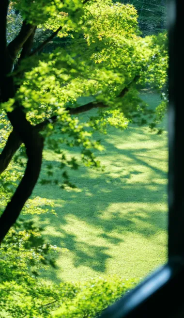 鹿島ノ森 館内 イメージ写真
