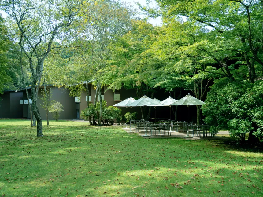 お庭イメージ写真