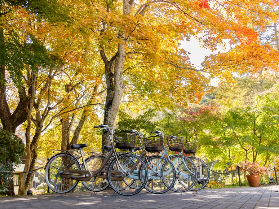 レンタサイクルイメージ画像