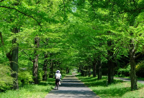 レンタサイクルイメージ画像