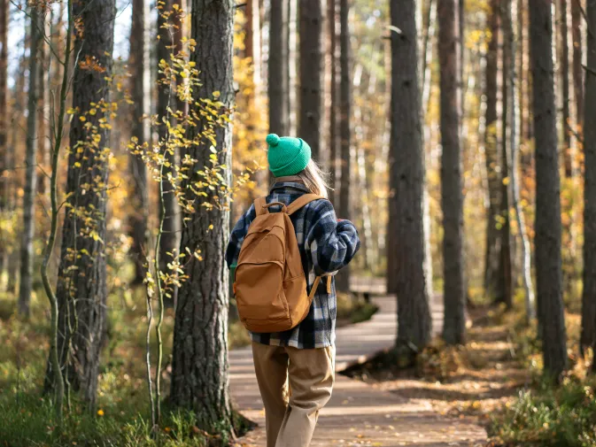 ネイチャーツアー