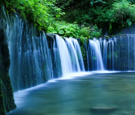 白糸の滝の画像