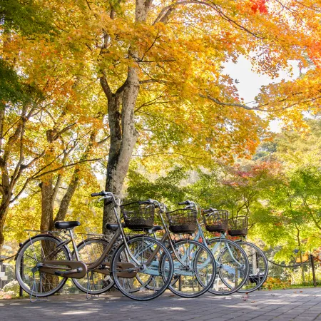 レンタサイクルのイメージ画像