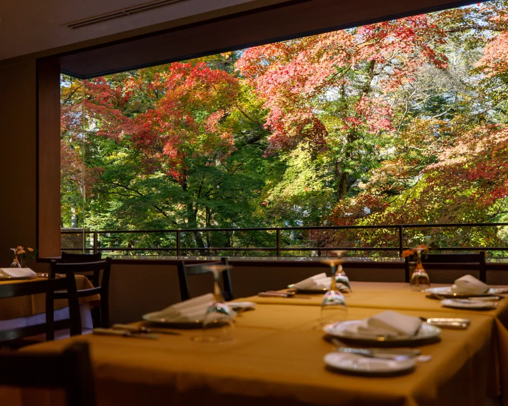 秋のイメージ画像