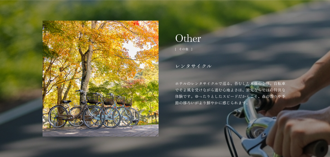 レンタサイクル