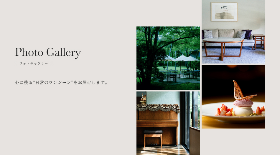 フォトギャラリー